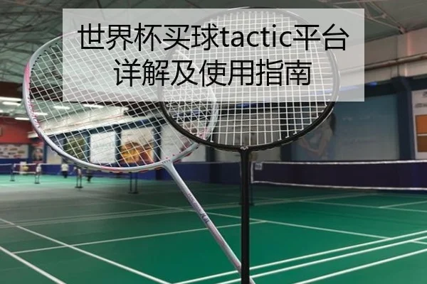 世界杯买球tactic平台详解及使用指南