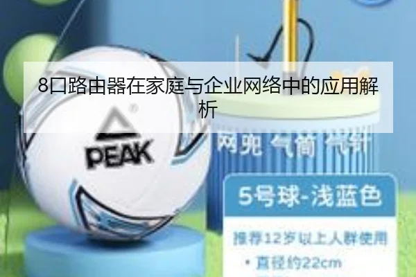 8口路由器在家庭与企业网络中的应用解析