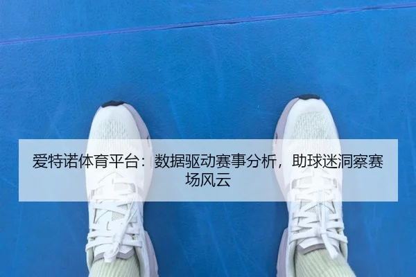 爱特诺体育平台：数据驱动赛事分析，助球迷洞察赛场风云