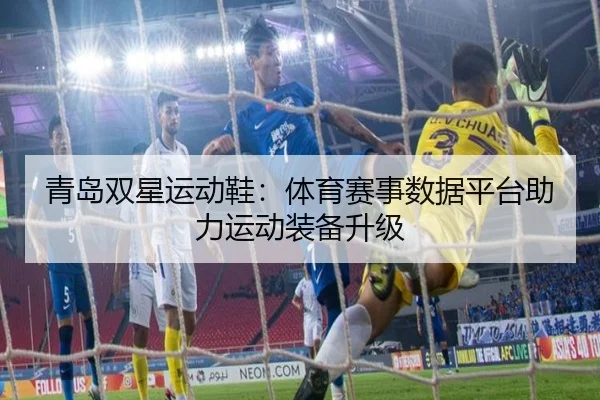 青岛双星运动鞋：体育赛事数据平台助力运动装备升级